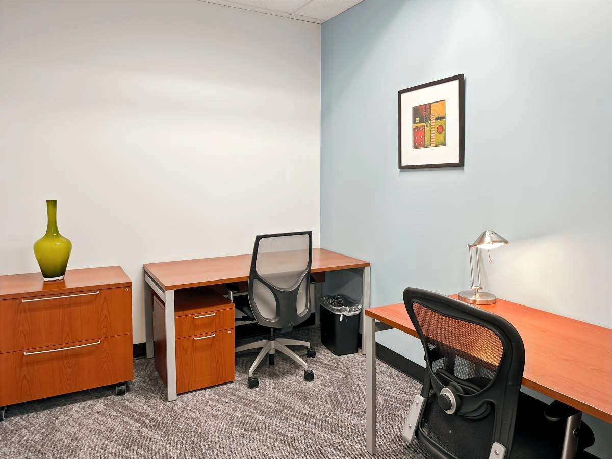 $446 ???? Small Office Deal — 5% Discount (Houston) — thumbnail 3