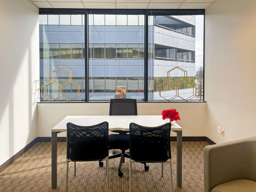 Regus San Jose Airport — Day Office — 11 Persons — Hourly — photo 3